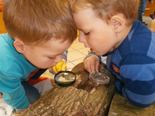 BAfEP Vöcklabruck, Praxiskindergarten, Geboren, um zu forschen, Heidi Jirku