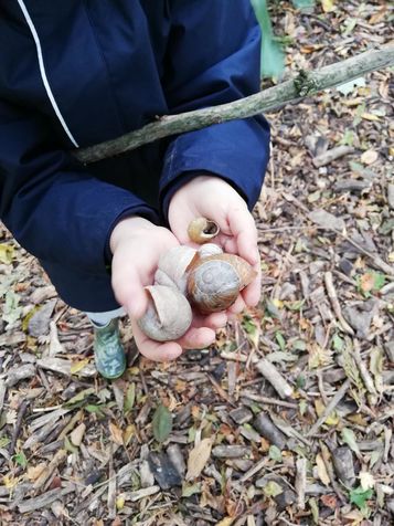 Kindergarten Schwaighof Community Arts Kunst Natur Manuela Weissenböck Bauen Jetzt wird gebaut Kindergarten Schwaighof Community Arts Kunst Natur Manuela Weissenböck Bauen Jetzt wird gebaut